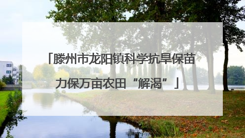 滕州市龙阳镇科学抗旱保苗 力保万亩农田“解渴”