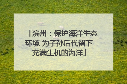 滨州：保护海洋生态环境 为子孙后代留下充满生机的海洋