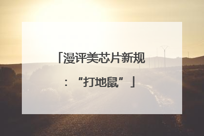 漫评美芯片新规：“打地鼠”