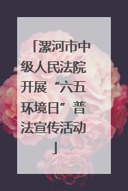 漯河市中级人民法院开展“六五环境日”普法宣传活动