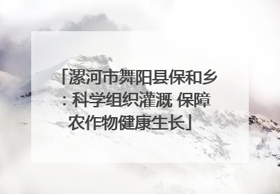 漯河市舞阳县保和乡：科学组织灌溉 保障农作物健康生长