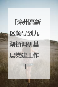 漳州高新区领导到九湖镇调研基层党建工作