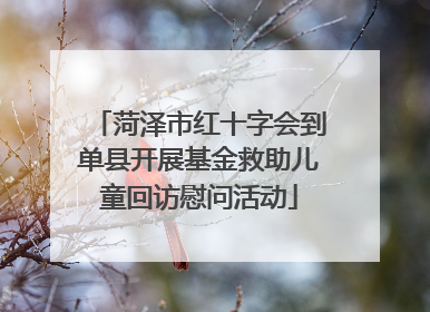 菏泽市红十字会到单县开展基金救助儿童回访慰问活动