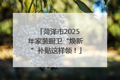 菏泽市2025年家装厨卫“焕新”补贴这样领！