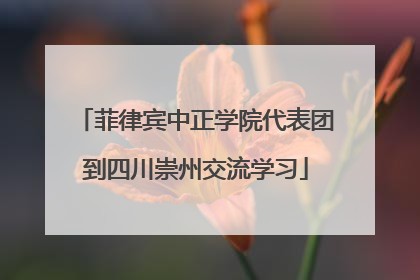 菲律宾中正学院代表团到四川崇州交流学习