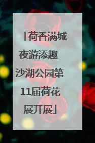 荷香满城夜游添趣 沙湖公园第11届荷花展开展
