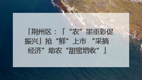 荆州区：「“农”墨重彩促振兴」抢“鲜”上市 “采摘经济”助农“甜蜜增收”