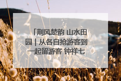 荆风楚韵 山水田园｜从各自抢游客到一起留游客 钟祥七村抱团解了“乡愁”添了“乡酬”