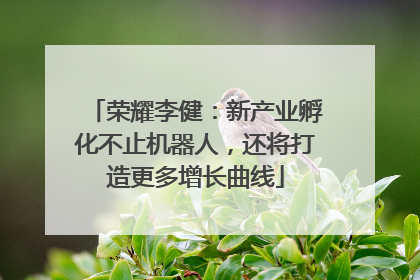 荣耀李健：新产业孵化不止机器人，还将打造更多增长曲线