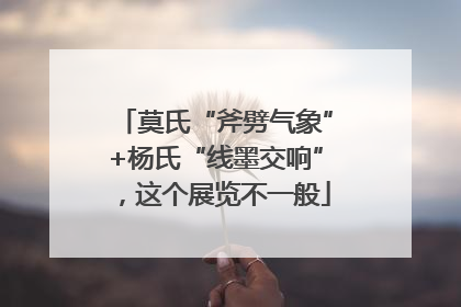 莫氏“斧劈气象”+杨氏“线墨交响”，这个展览不一般