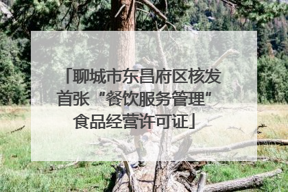聊城市东昌府区核发首张“餐饮服务管理”食品经营许可证
