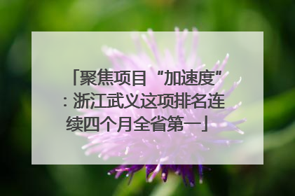 聚焦项目“加速度”：浙江武义这项排名连续四个月全省第一