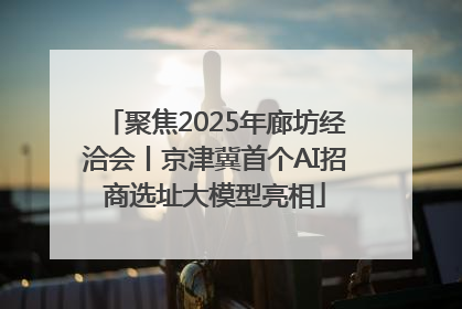 聚焦2025年廊坊经洽会丨京津冀首个AI招商选址大模型亮相