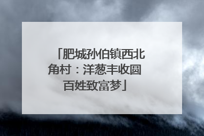 肥城孙伯镇西北角村：洋葱丰收圆百姓致富梦