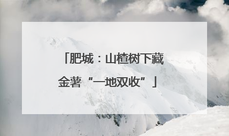 肥城：山楂树下藏金薯“一地双收”