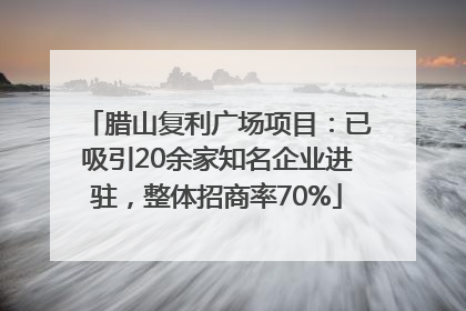腊山复利广场项目：已吸引20余家知名企业进驻，整体招商率70%