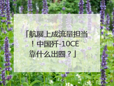 航展上成流量担当！中国歼-10CE靠什么出圈？