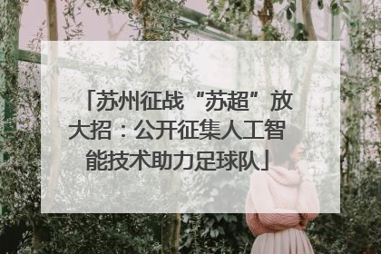 苏州征战“苏超”放大招：公开征集人工智能技术助力足球队