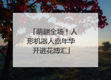 萌翻全场！人形机器人嘉年华开进花博汇