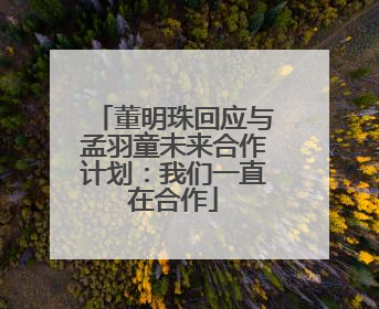 董明珠回应与孟羽童未来合作计划：我们一直在合作