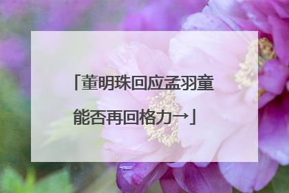 董明珠回应孟羽童能否再回格力→
