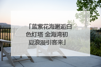 蓝紫花海邂逅白色灯塔 金海湾初夏浪漫引客来
