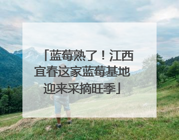 蓝莓熟了！江西宜春这家蓝莓基地迎来采摘旺季