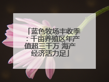 蓝色牧场丰收季：千亩养殖区年产值超三千万 海产经济活力足