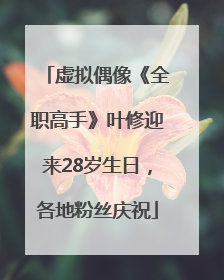 虚拟偶像《全职高手》叶修迎来28岁生日，各地粉丝庆祝