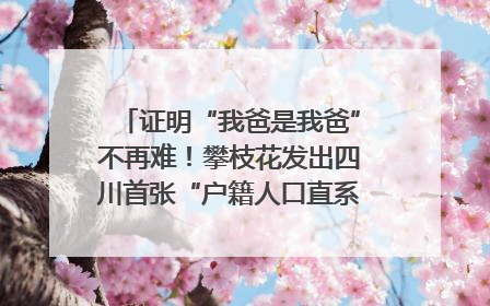 证明“我爸是我爸”不再难！攀枝花发出四川首张“户籍人口直系亲属关系谱”