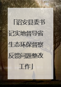 诏安县委书记实地督导省生态环保督察反馈问题整改工作