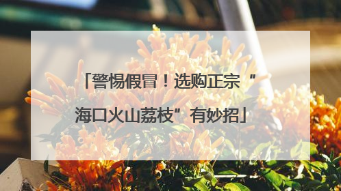 警惕假冒！选购正宗“海口火山荔枝”有妙招