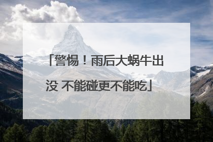 警惕！雨后大蜗牛出没 不能碰更不能吃