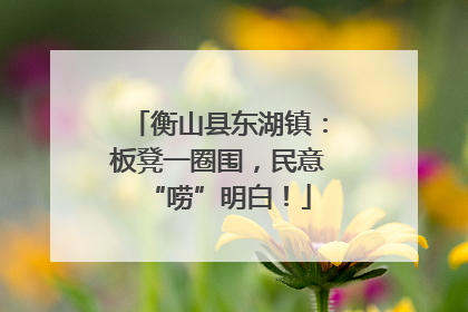 衡山县东湖镇：板凳一圈围，民意“唠”明白！