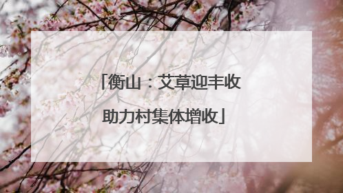 衡山：艾草迎丰收 助力村集体增收