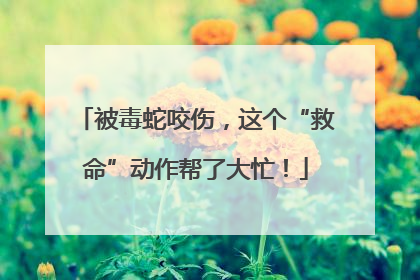 被毒蛇咬伤，这个“救命”动作帮了大忙！