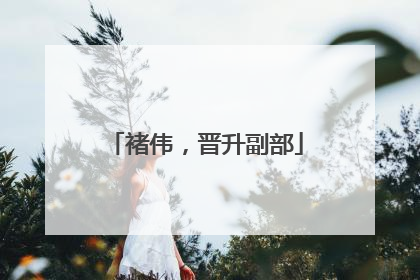 褚伟，晋升副部
