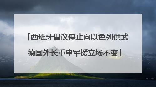 西班牙倡议停止向以色列供武 德国外长重申军援立场不变