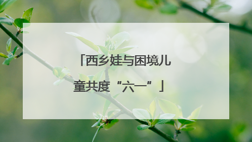西乡娃与困境儿童共度“六一”