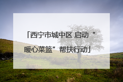 西宁市城中区 启动“暖心菜篮”帮扶行动