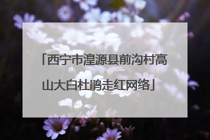 西宁市湟源县前沟村高山大白杜鹃走红网络
