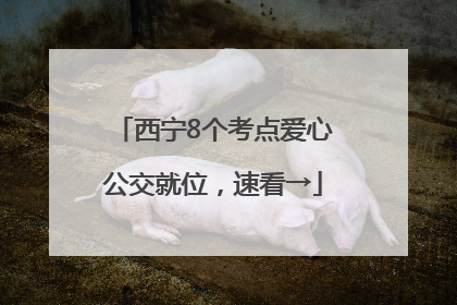 西宁8个考点爱心公交就位，速看→