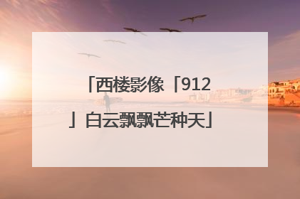 西楼影像「912」白云飘飘芒种天