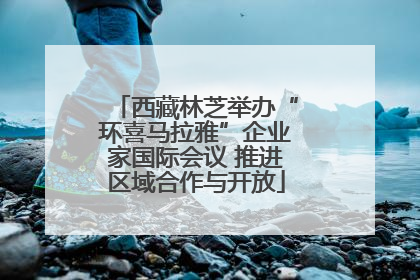 西藏林芝举办“环喜马拉雅”企业家国际会议 推进区域合作与开放