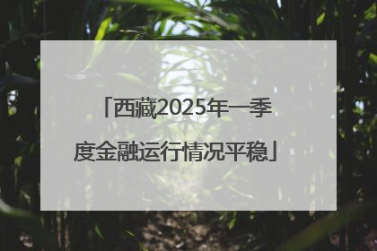 西藏2025年一季度金融运行情况平稳