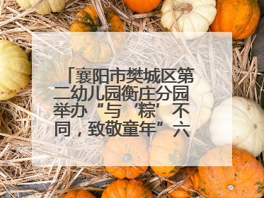 襄阳市樊城区第二幼儿园衡庄分园举办“与‘粽’不同，致敬童年”六一文艺汇演