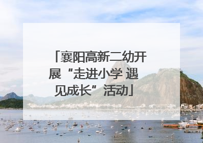 襄阳高新二幼开展“走进小学 遇见成长”活动