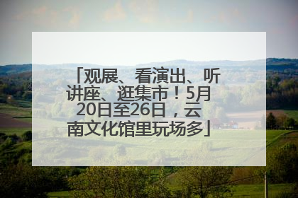 观展、看演出、听讲座、逛集市！5月20日至26日，云南文化馆里玩场多