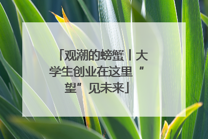 观潮的螃蟹丨大学生创业在这里“望”见未来