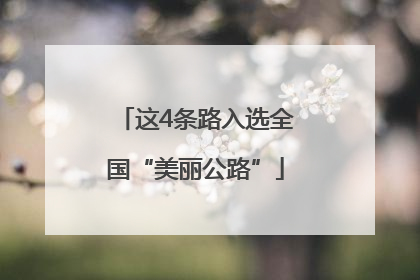 这4条路入选全国“美丽公路”